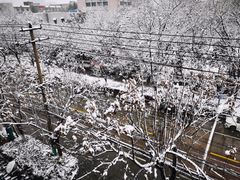 -雪园小吃部(天桥商场店)