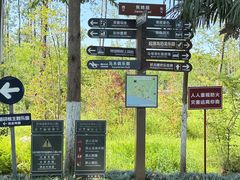 -合肥滨湖国家森林公园