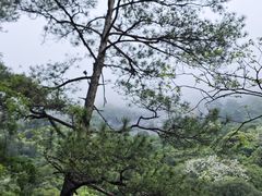 -黄山翡翠谷景区