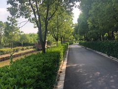 -吴淞炮台湾湿地森林公园烧烤区