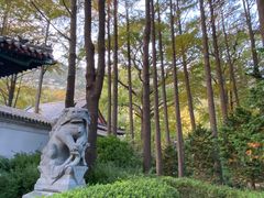 -青岛崂山太清宫