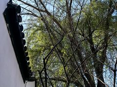 -南京市民俗博物馆(甘熙故居)