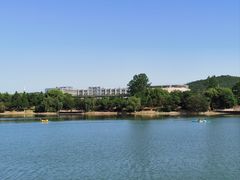-羊山湖公园