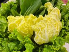 -食潮汕头鲜牛馆(望京保利店)
