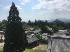 -奈良公园