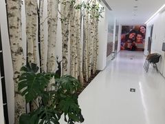 -极简口腔(总院)