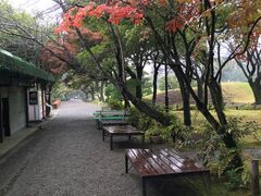 -水前寺成趣园
