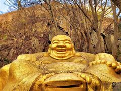 -紫金山山顶公园