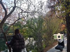 -东湖落雁景区