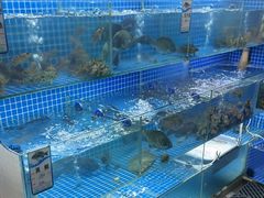 -阿军排档·烧烤