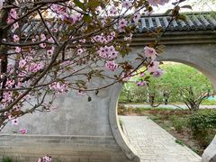 -丰台花园