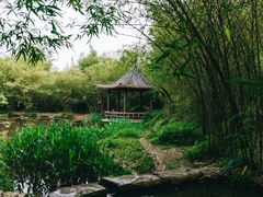 -大屏嶂森林公园