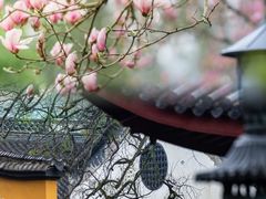 -杭州上天竺法喜讲寺