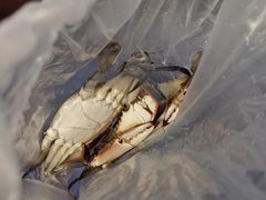 -盒马鲜生(大行宫店)