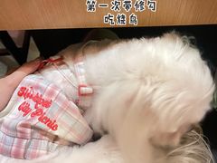 -乌君·酒场·炭火烧鸟(侨城坊店)