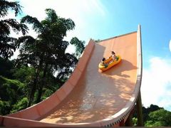 -重庆海昌加勒比海水世界