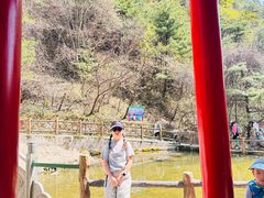 -王顺山国家森林公园