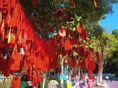 -温州乐园