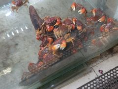 -三旗百汇商品城