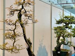 -昆明滇池国际会展中心