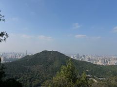 -佛慧山