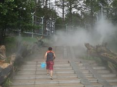 -横道河子东北虎林园