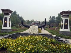 -武清南湖绿博园