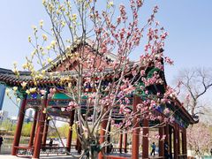 -西海子公园