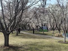 -西北湖绿化广场