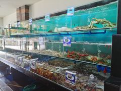 水产区-南海渔家•海鲜•正宗海南菜(海棠湾店)