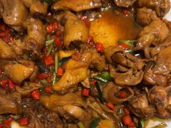 现杀果园鸡—黄焖鸡-生态苑农庄(十里画廊遇龙河店)
