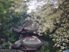 -成都市文化公园