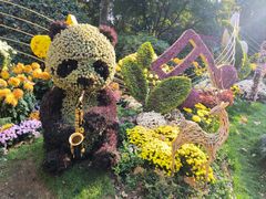 -杭州植物园