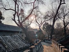 -恭王府博物馆
