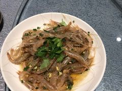 -大队长大灶鹅