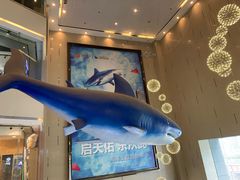 -乐从天佑城海洋馆