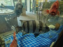 -新荣记(西溪湿地店)