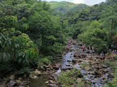 -广州白江湖森林公园