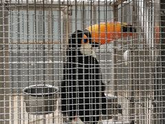 -南宫五洲植物乐园