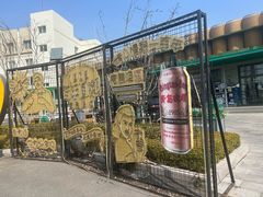 -TSINGTAO 1903 纯生酒馆(青啤二厂店)