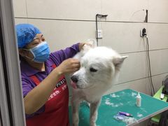 -北京观赏动物医院·24小时大型综合·猫专科·异宠专科
