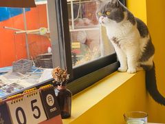 -22cafe