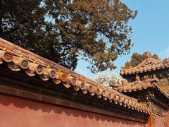 -故宫博物院(故宫)