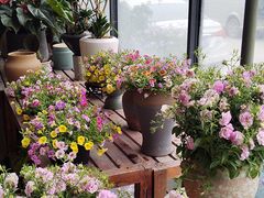 -金科花卉市场