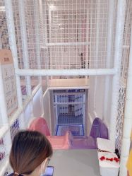 -奈尔宝·儿童乐园·亲子餐厅(华采天地店)