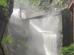 -牛背梁国家森林公园