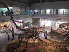 -自贡恐龙博物馆