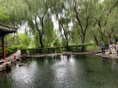 -百脉泉景区