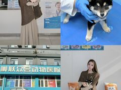 -美联众合动物医院·24h京西诊疗中心