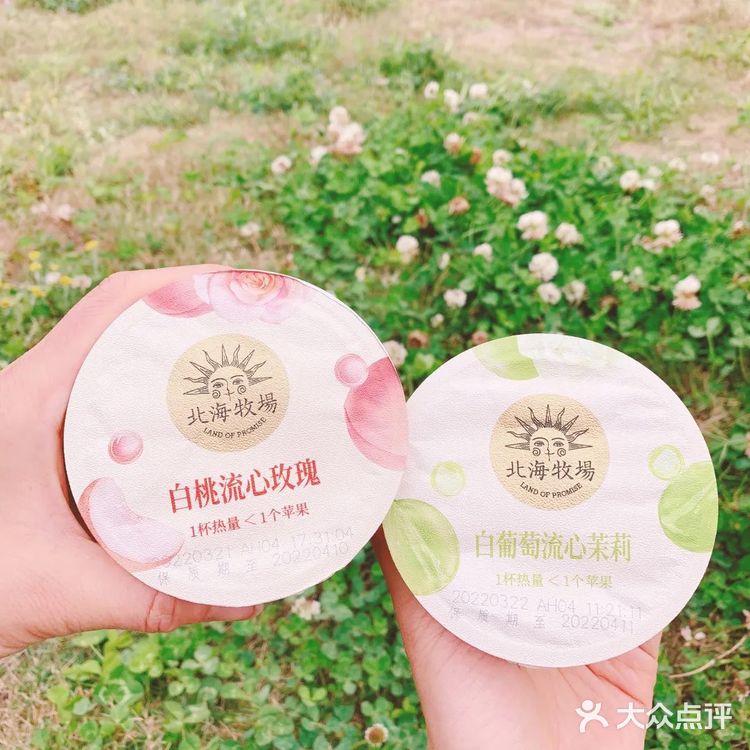 北海牧场酸奶[胜利]